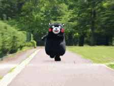 1496195611289681.gif 01.gif